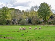 Meentzoom 11, 1261 XA Blaricum