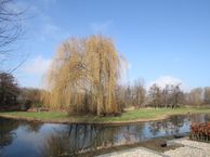 Trasmolen 58, 3352 AK Papendrecht