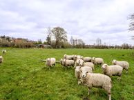 Molenweg 47, 7914 RS Noordscheschut