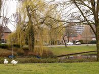 Couperuslaan 161, 3842 AD Harderwijk