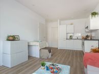 Abtsweg 43 B, 3042 GA Rotterdam