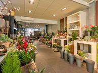 Pastoor Ohllaan 15, 3451 CB Vleuten