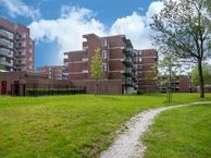 Timothee 59, 8935 CA Leeuwarden