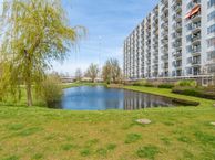 Suze Groeneweglaan 203, 3021 DV Rotterdam