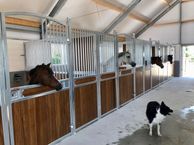 Rijnstraat 58 a, 4031 KM Ingen