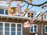 Kerstant van den Bergelaan 15 b, 3054 EM Rotterdam