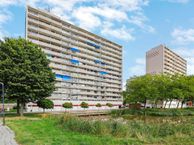 Tjaarda 54, 9202 KN Drachten