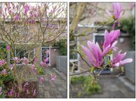 Graaf Willem de Oudelaan 76, 1412 AW Naarden