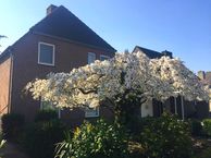 Voorste Heusden 38, 5725 AC Heusden (Gem. Asten)