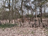 Koekoeklaan 8, 5737 PM Lieshout