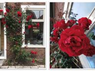 Noordwal 18, 4501 JV Oostburg