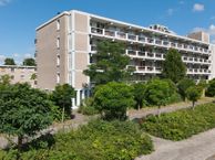 Hogewerf 163, 1082 NC Amsterdam