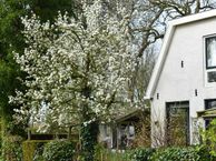 Nesserlaan 4, 8749 TC Pingjum