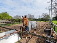 Bergakker 14, 4013 CM Kapel Avezaath (Gem. Tiel)