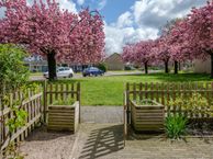 Gerard Ter Borchstraat 28, 7944 GN Meppel