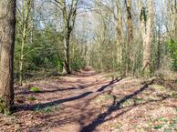 Surinamelaan 75 -C, 3818 TG Amersfoort