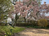 Brink 2 A, 4197 BT Buurmalsen (Gem. West Betuwe)