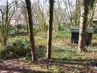 Ariënsweg, 6711 PG Ede