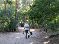 Appartement 5-30, 5141 EJ Waalwijk