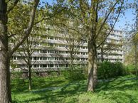 Spreeuwenstraat 159, 3815 ST Amersfoort