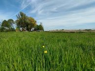 Kerkepad (Bouwnr. 7), 9851 BB Burum