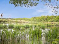 Kolonievaart 4, 9336 TC Huis ter Heide (DR)