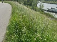 Zuiderlingedijk 9, 4207 GL Gorinchem