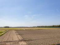 Wederikstraat 66, 5953 MC Reuver