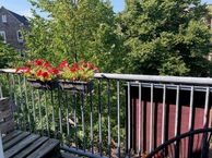 de Swaenenborgh 44, 7941 BR Meppel