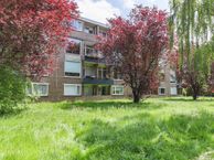 Sabotagelaan 144, 9727 CT Groningen