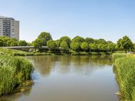 Mainstraat 33, 3207 PC Spijkenisse