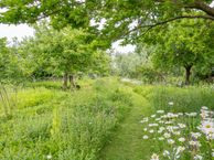 Banninkstraat 58, 7255 KE Hengelo (GE)