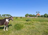 Hitzumerweg 1, 8806 TR Achlum