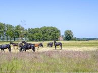 Strjitwei 14, 8522 ML Tjerkgaast