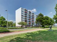 Pruylenborg 189, 3332 PE Zwijndrecht