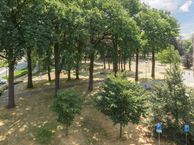 Hoogstraat 65, 5554 AK Valkenswaard