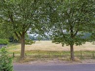 Paulinelaan 9, 1399 VK Muiderberg