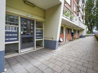 Ranonkelstraat 249, 2565 BE Den Haag