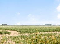 Zoutestraat 143, 4569 TA Graauw