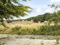 Barkentijn 132, 8531 DB Lemmer