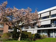 Irenelaan 1-., 9752 LS Haren (GR)