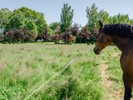 van Zijlweg 1, 8351 HW Wapserveen