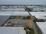 Sprongenloet, 2675 KV Honselersdijk