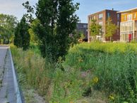 Belcamposingel 55, 9721 ME Groningen