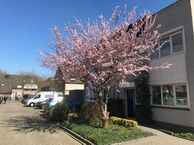 Aletta Jacobs-erf 82, 3315 EE Dordrecht