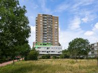 Professor Van der Scheerstraat 213, 2035 AN Haarlem