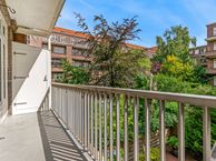 Parnassusweg 11 1, 1077 DA Amsterdam