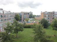 Menno ter Braakstraat 33, 3076 EG Rotterdam