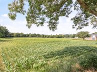 Vrouwboomweg, 5961 PM Horst