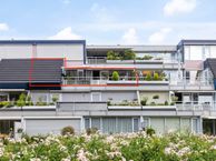 De Zaaier 142, 7908 MA Hoogeveen